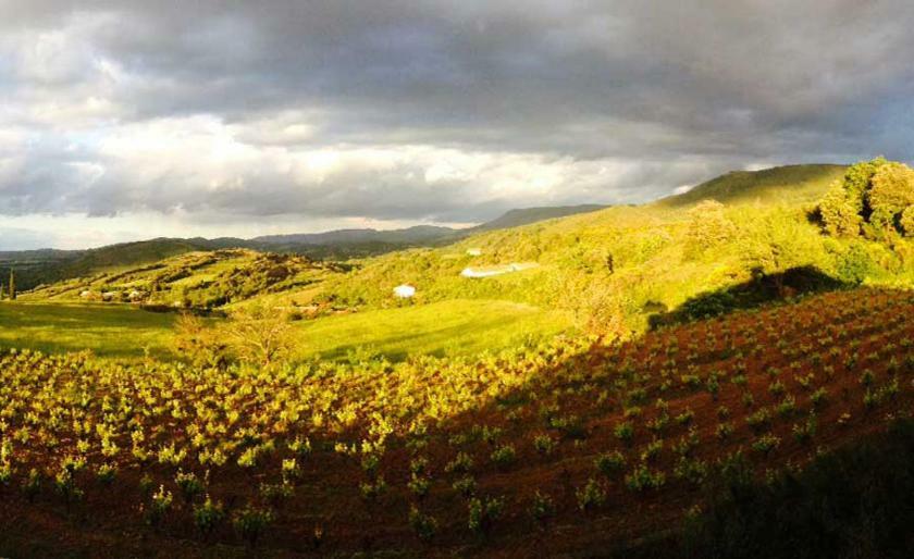 Gite Vigneron Du Domaine D'Alon Magrie エクステリア 写真