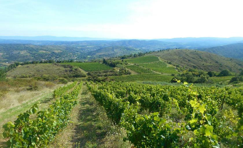 Gite Vigneron Du Domaine D'Alon Magrie エクステリア 写真
