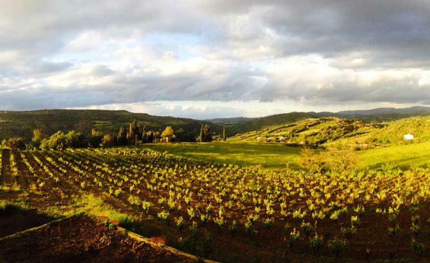 Gite Vigneron Du Domaine D'Alon Magrie エクステリア 写真