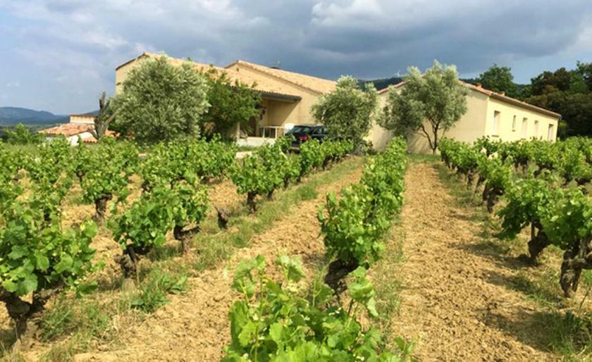 Gite Vigneron Du Domaine D'Alon Magrie エクステリア 写真