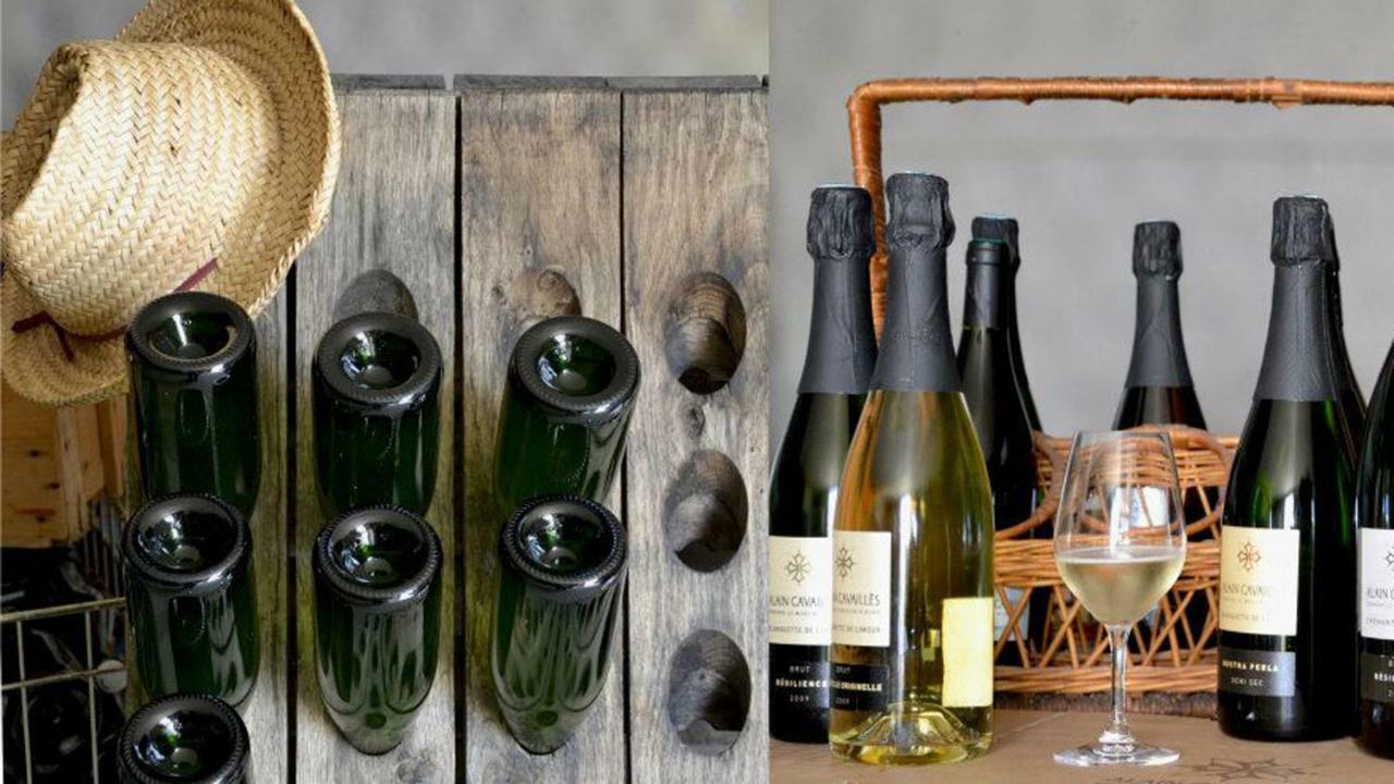 Gite Vigneron Du Domaine D'Alon Magrie エクステリア 写真
