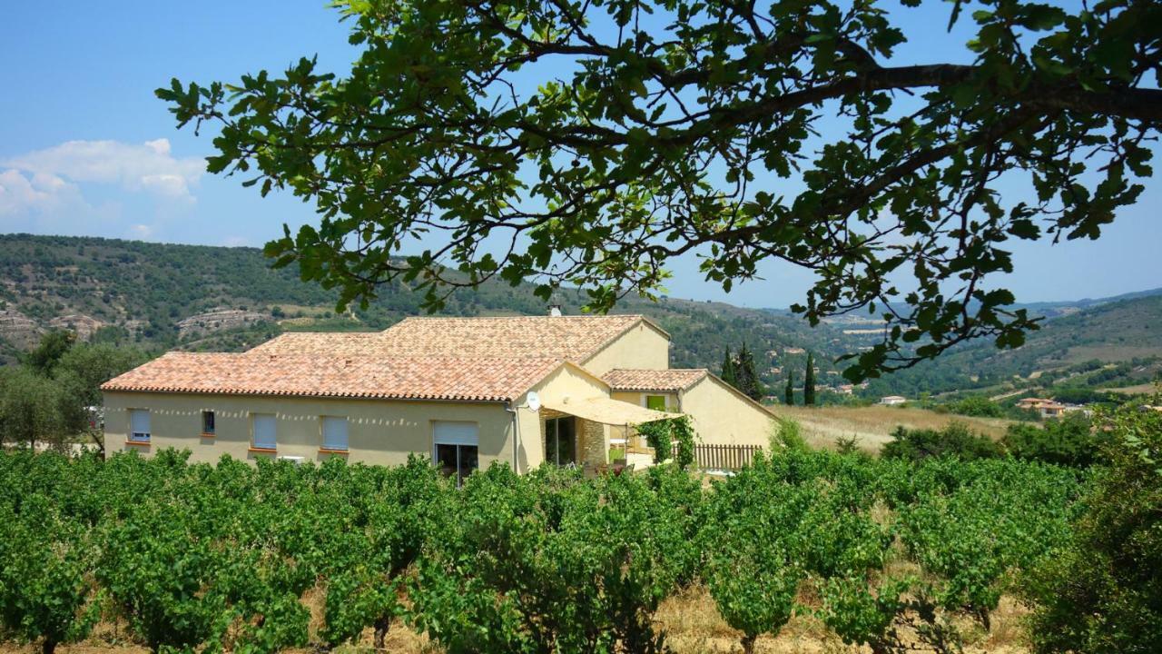 Gite Vigneron Du Domaine D'Alon Magrie エクステリア 写真