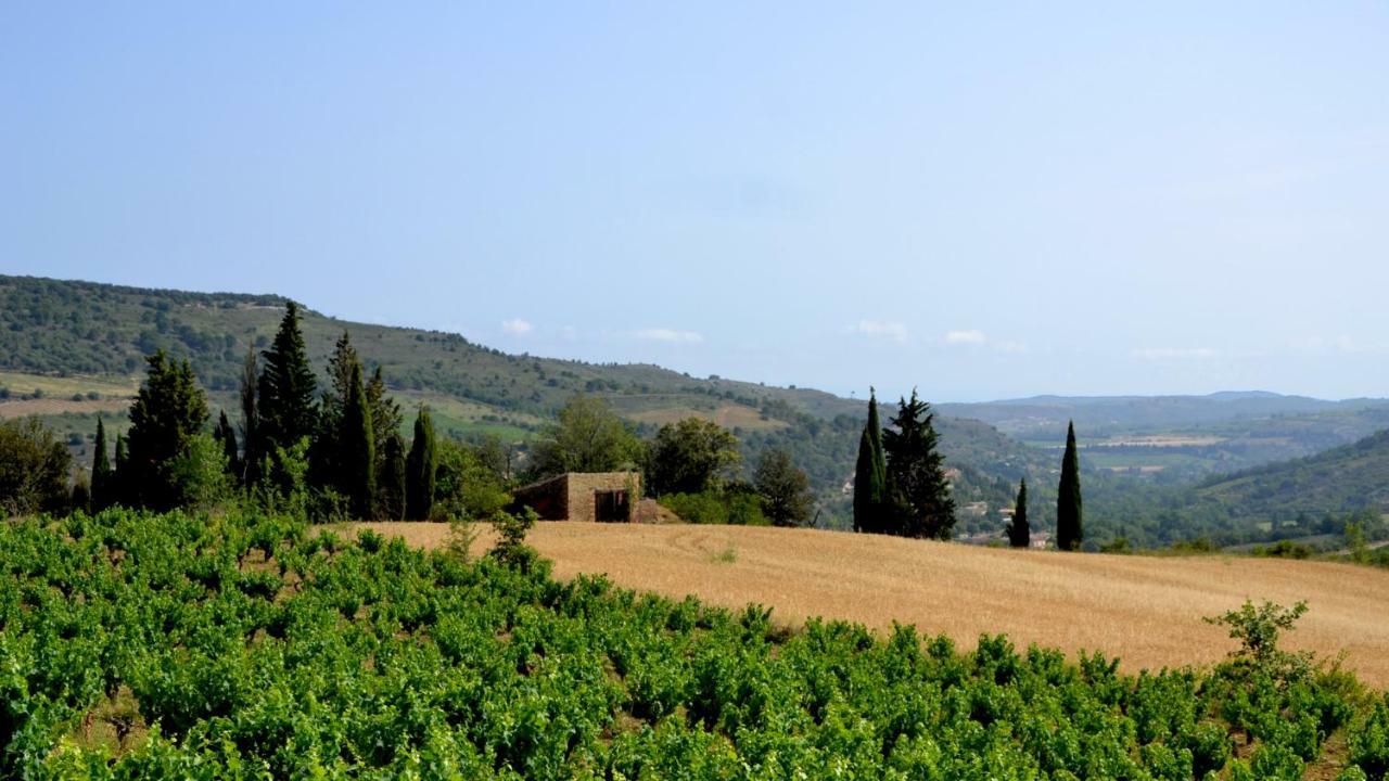 Gite Vigneron Du Domaine D'Alon Magrie エクステリア 写真