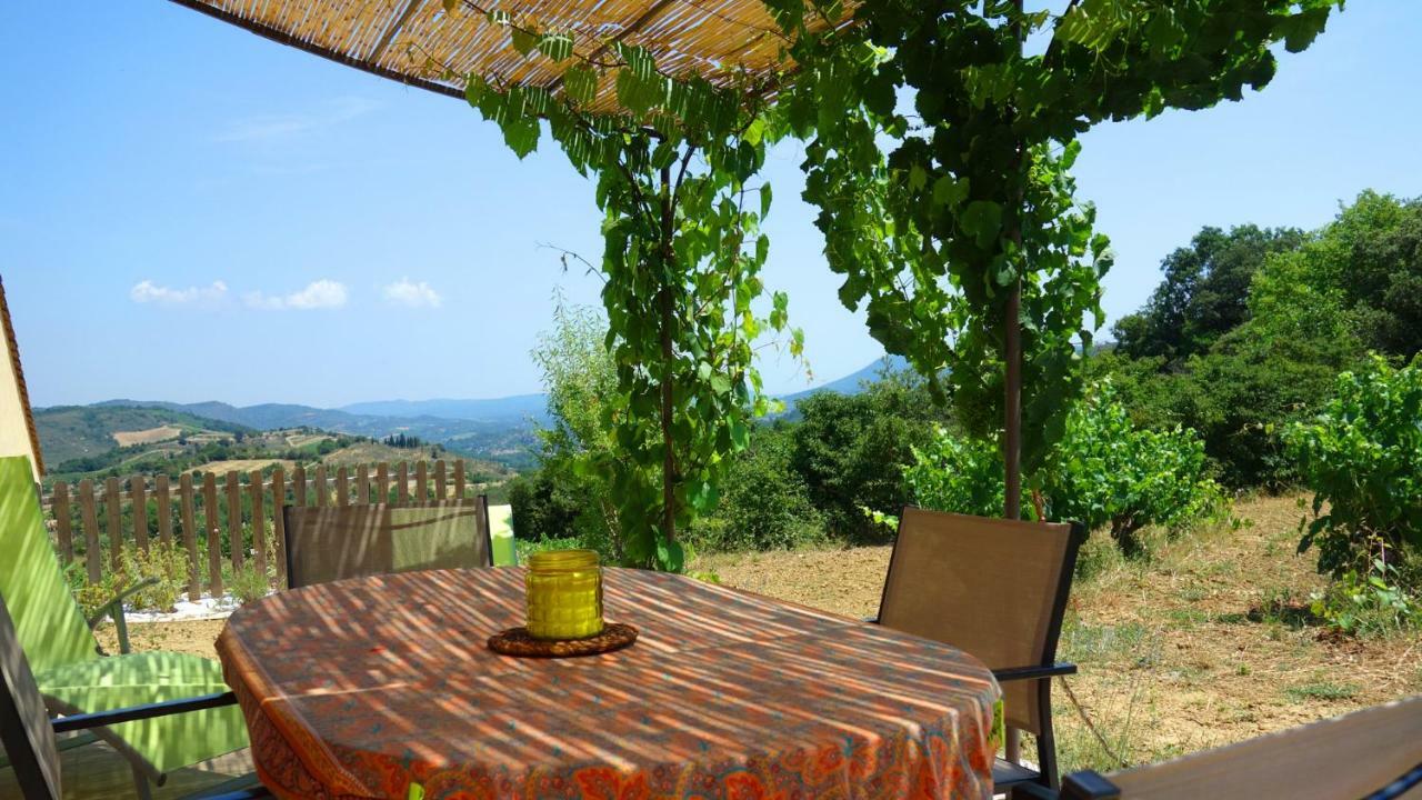 Gite Vigneron Du Domaine D'Alon Magrie エクステリア 写真