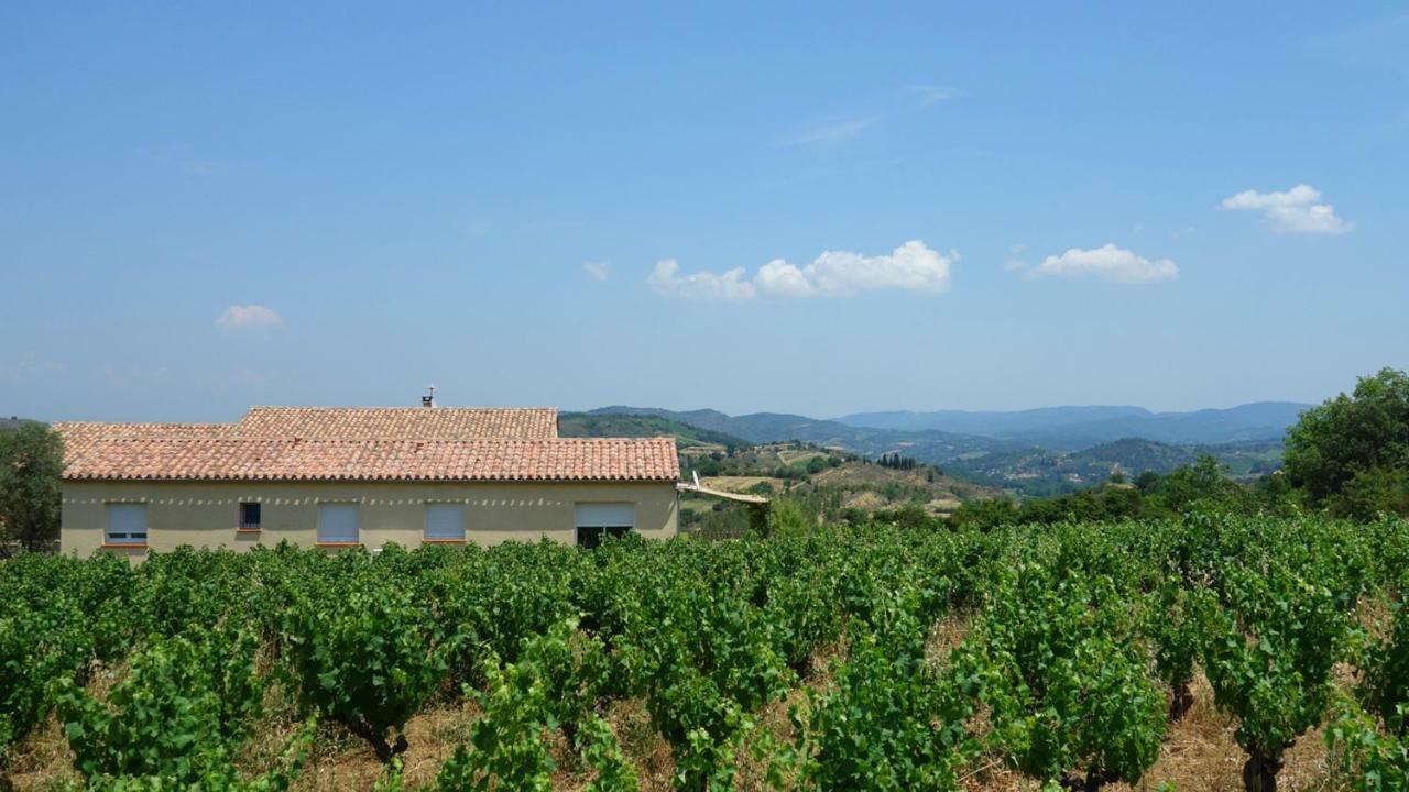 Gite Vigneron Du Domaine D'Alon Magrie エクステリア 写真