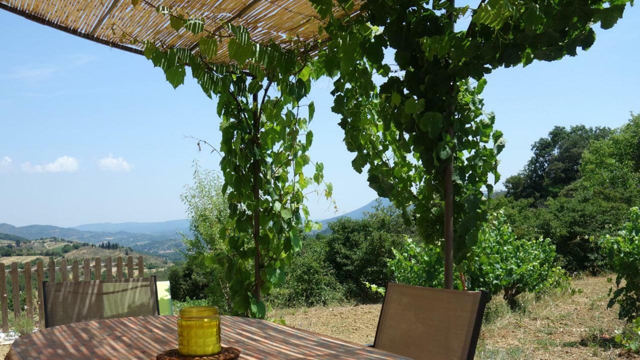 Gite Vigneron Du Domaine D'Alon Magrie エクステリア 写真