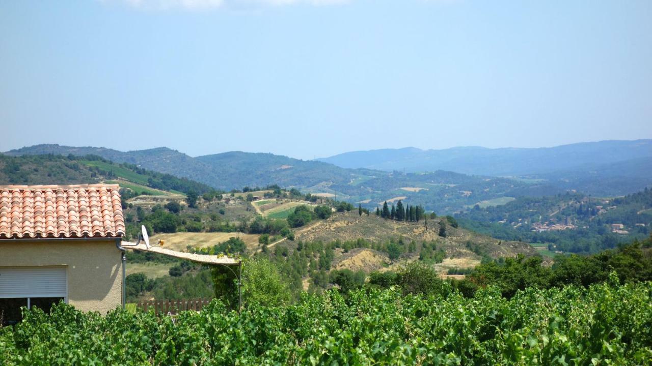 Gite Vigneron Du Domaine D'Alon Magrie エクステリア 写真